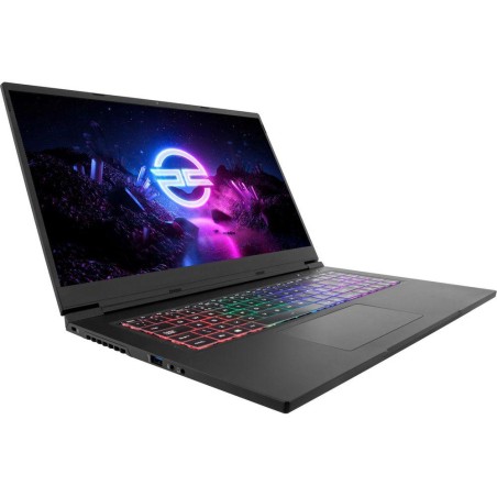 PCSPECIALIST Ionico RX17 17.3" Gaming Laptop